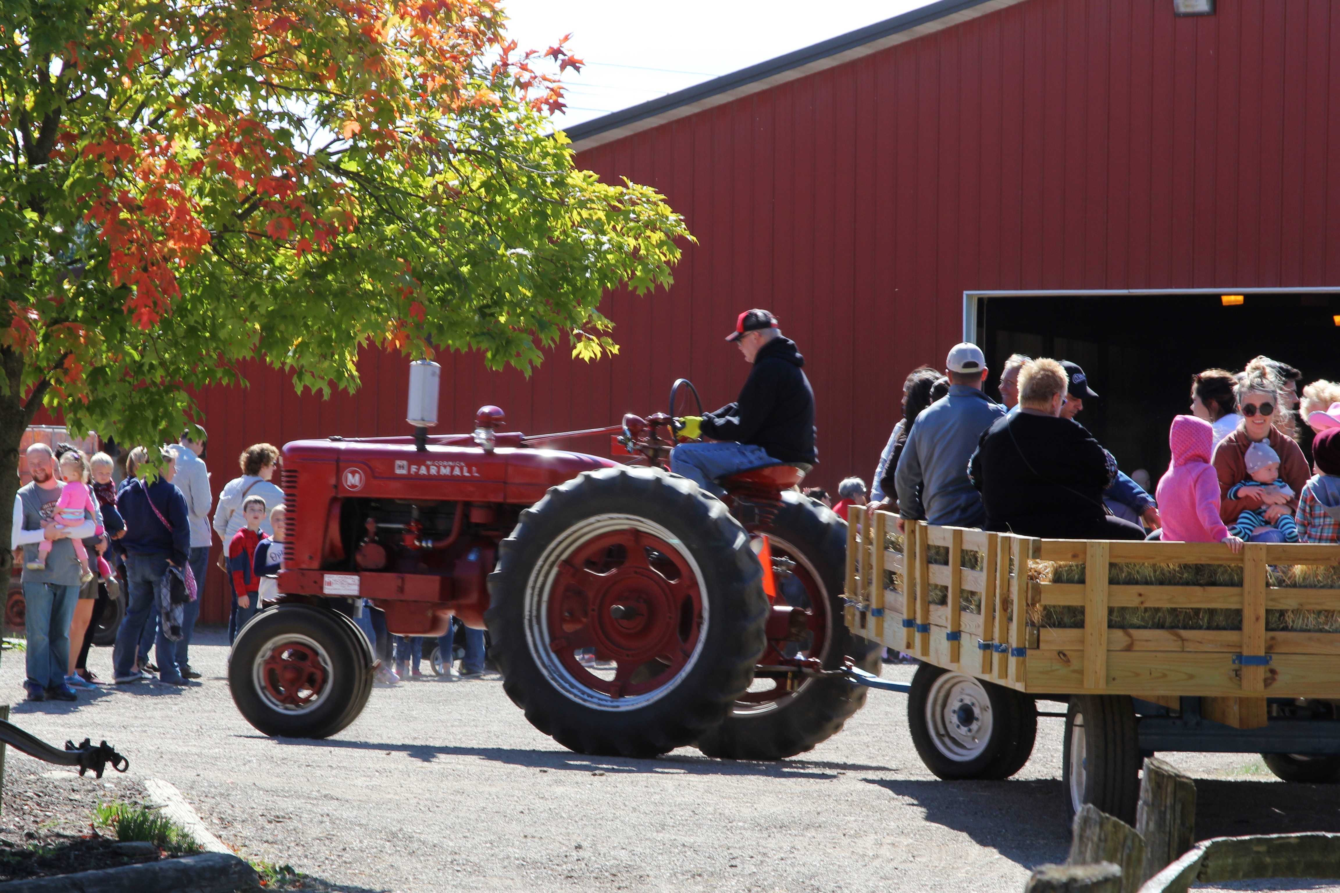 The Children’s Farm to The Center, Palos Park